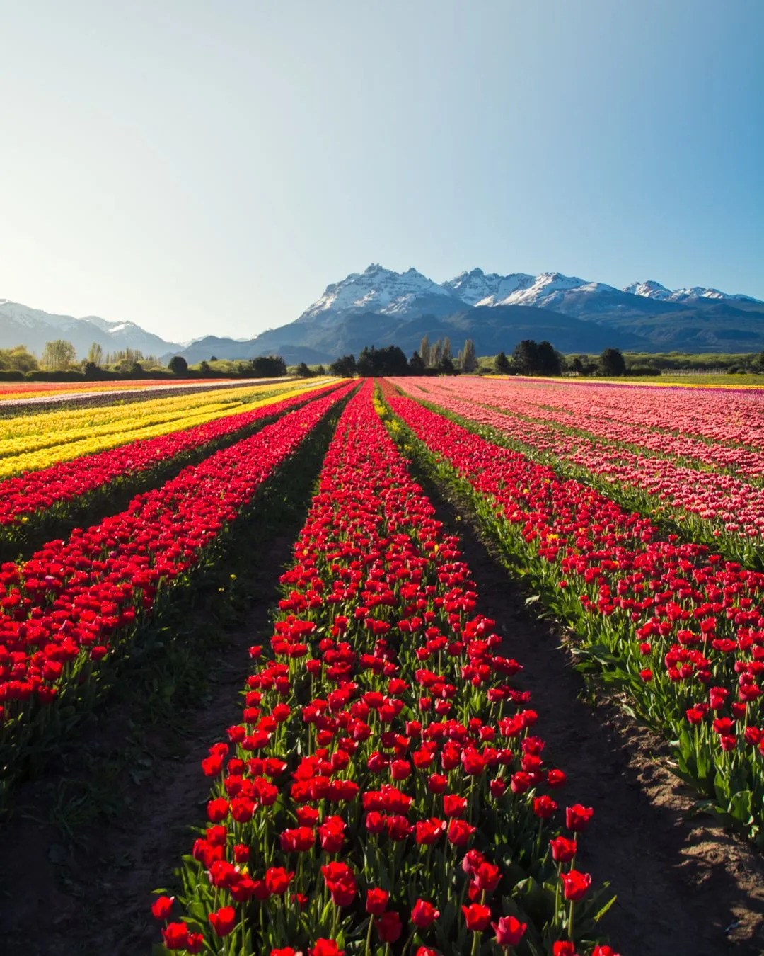 Exploring Chubut Province, Argentina - Cultural heritage festivals