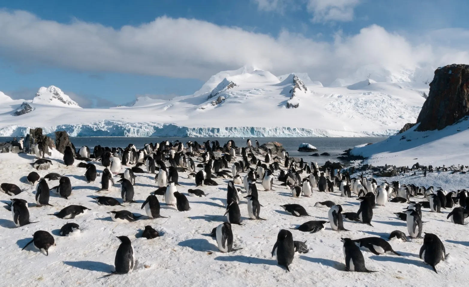 Visit Argentina - Activities - Half Moon Island, Antarctica